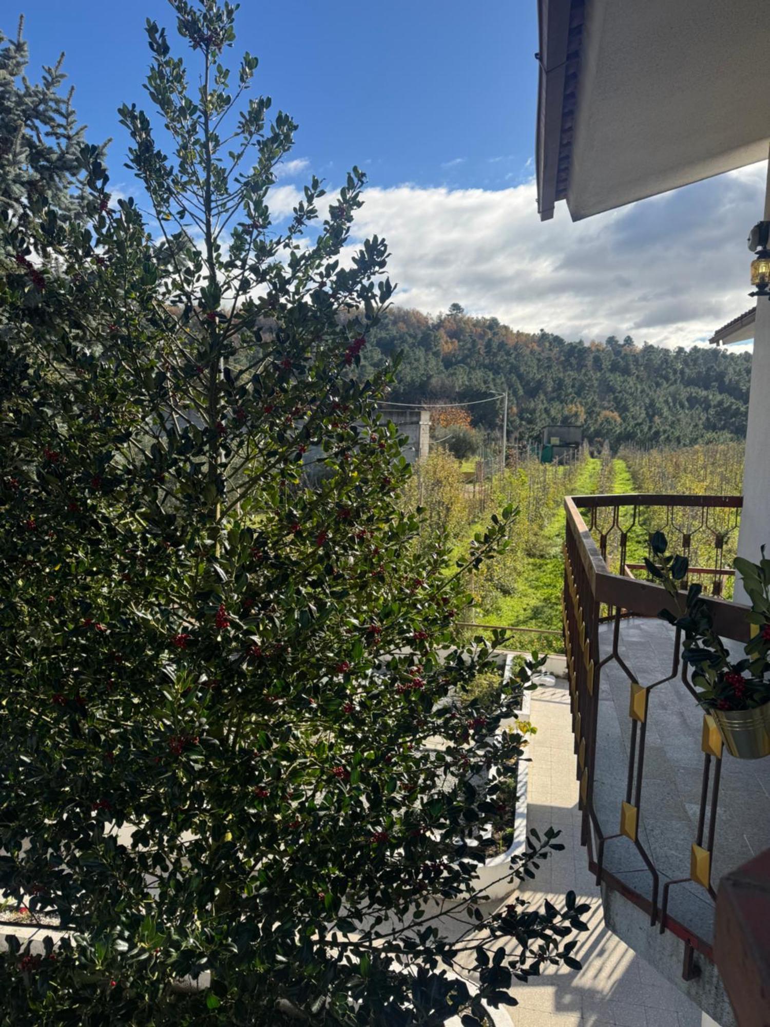 فيلا Casa Vicente لاميغو المظهر الخارجي الصورة